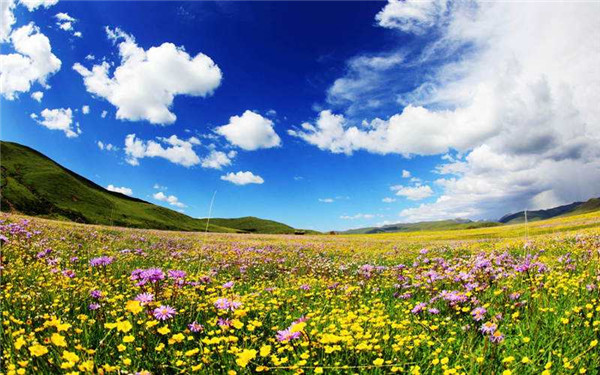君唐周后菊律师圆满完成对口红原藏区首例法律援助案件