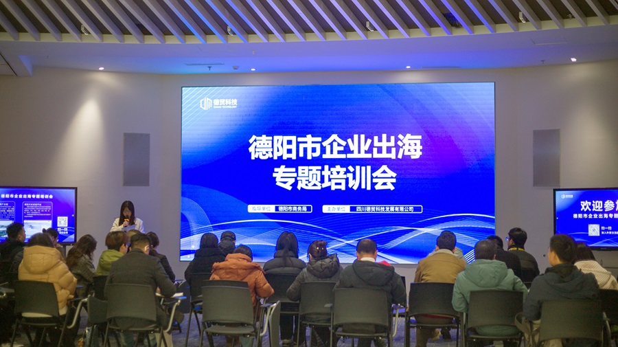 涉外企业服务︳涉外法律服务团队参加企业出海专题培训
